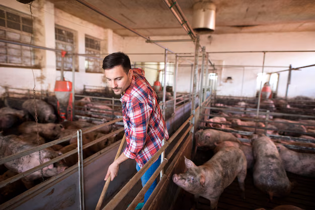 Clean drinking water and hygiene for pigs