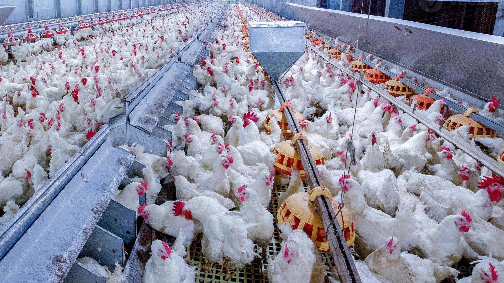 Aggregation and transport to markets