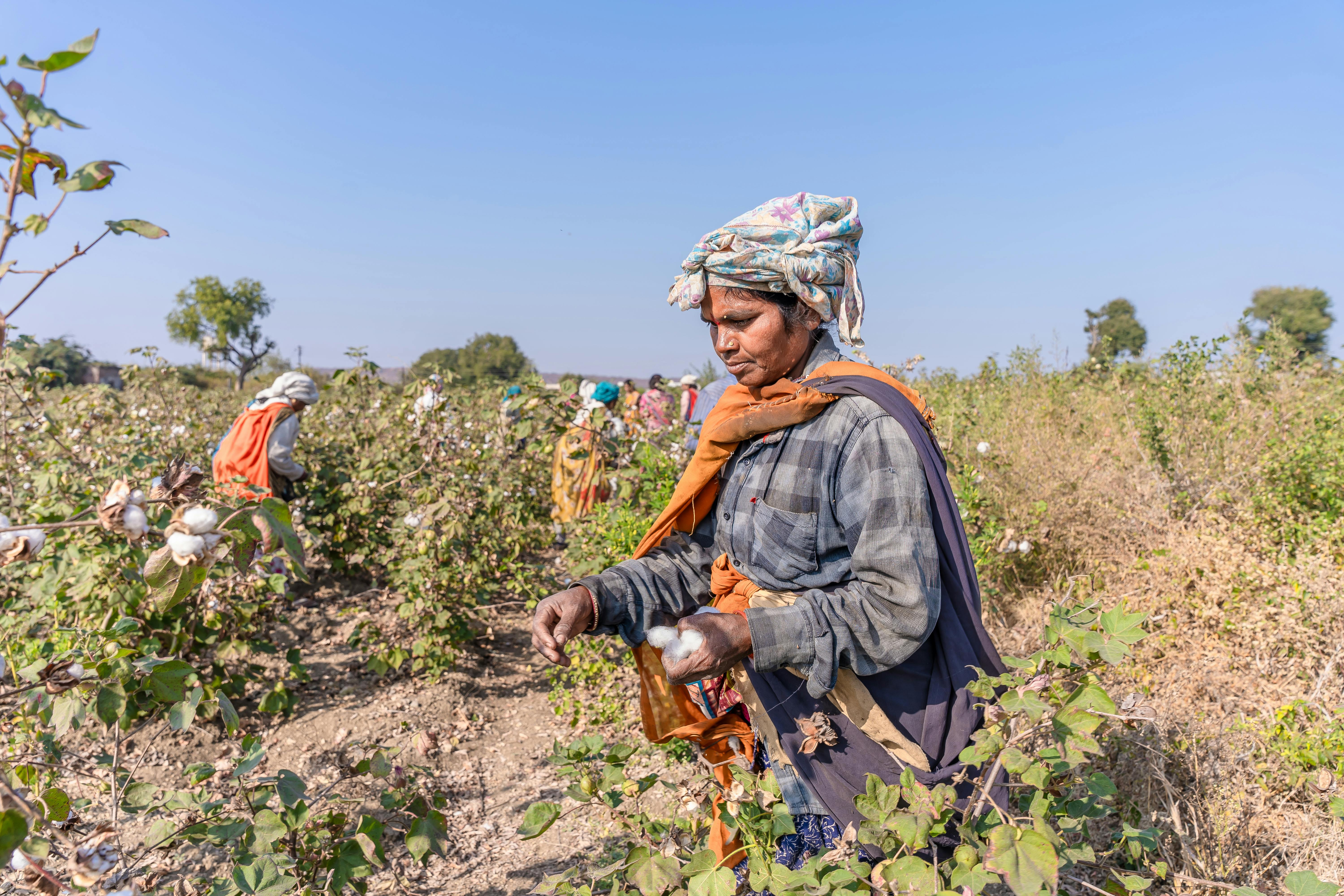 Environment, Climate & Sustainable Livelihoods